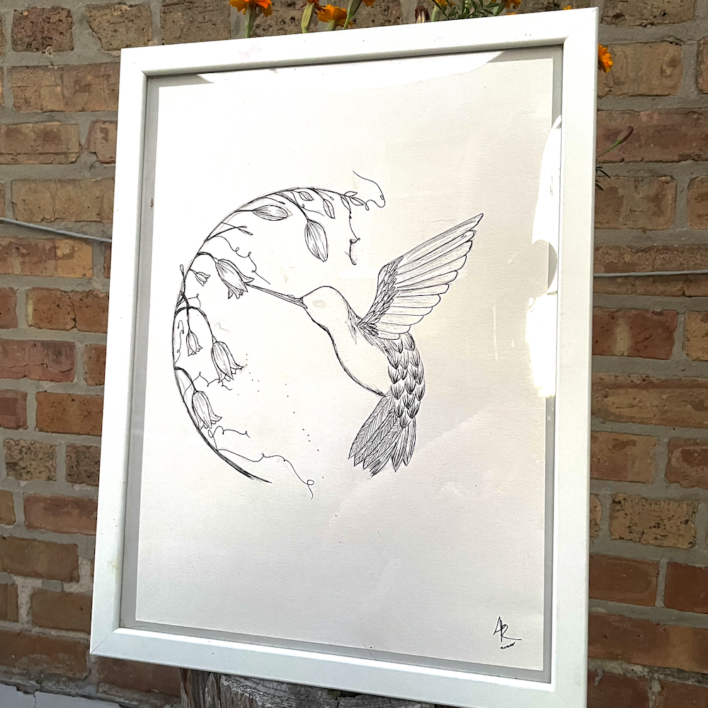Hummingbird in Bloom (Framed Drawing)